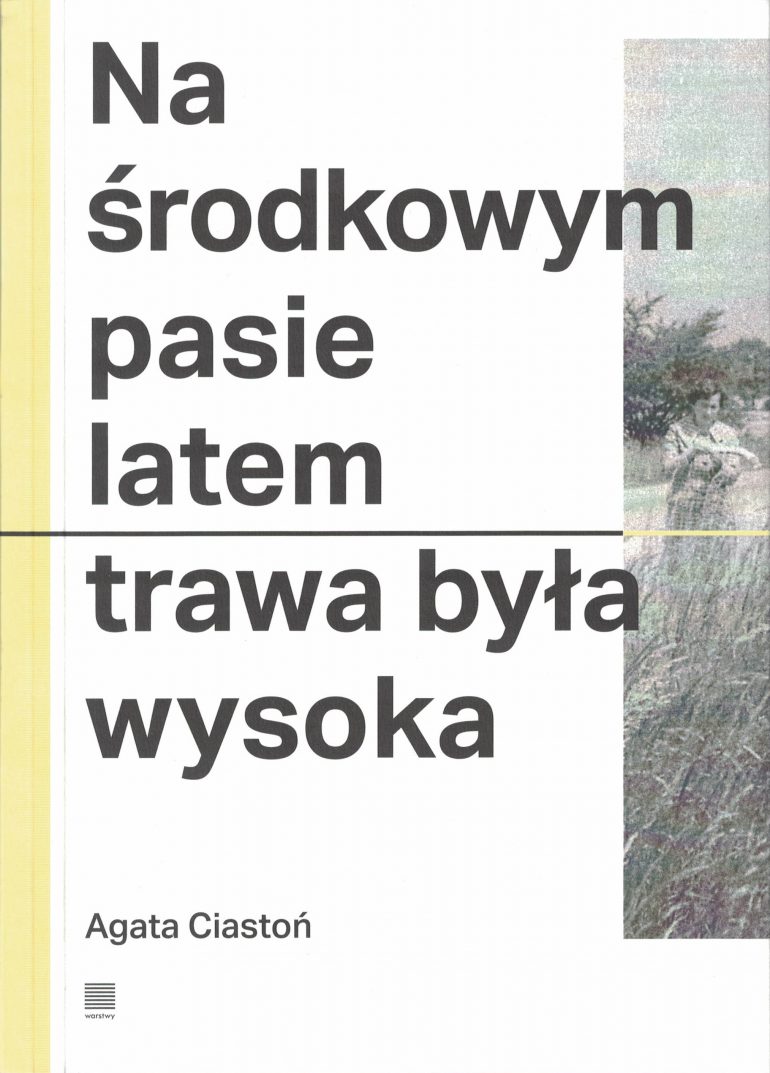 Na środkowym pasie