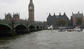 brexit